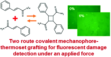 Graphical abstract: Stress-sensing thermoset polymer networks via grafted cinnamoyl/cyclobutane mechanophore units in epoxy