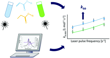 Graphical abstract: An alternative method to estimate the bulk backbiting rate coefficient in acrylate radical polymerization