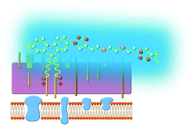 Graphical abstract: Synthesis of a new cationic non-conjugated polymer for discrimination of microbial pathogens