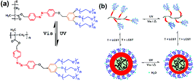 Graphical abstract: Dual thermo- and light-responsive dendron-jacketed homopolymers containing photoswitchable azobenzene groups via a macromonomer route