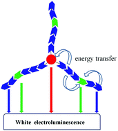 Graphical abstract: High-color-quality white electroluminescence and amplified spontaneous emission from a star-shaped single-polymer system with simultaneous three-color emission