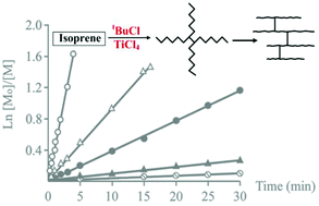 Graphical abstract: New insight into the polymerization mechanism of 1,3-dienes cationic polymerization. IV. Mechanism of unsaturation loss in the polymerization of isoprene