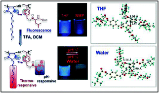 Graphical abstract: Conventional fluorophore-free dual pH- and thermo-responsive luminescent alternating copolymer