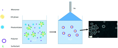 Graphical abstract: Synthesis of polymeric microcapsules by interfacial-suspension cationic photopolymerisation of divinyl ether monomer in aqueous suspension