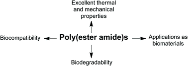 Graphical abstract: Poly(ester amide)s: recent insights into synthesis, stability and biomedical applications
