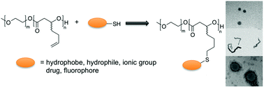 Graphical abstract: Post-polymerization functionalization of poly(ethylene oxide)–poly(β-6-heptenolactone) diblock copolymers to tune properties and self-assembly