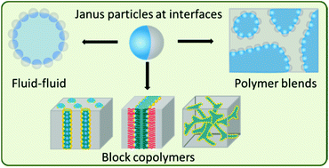 Graphical abstract: Janus nanoparticles inside polymeric materials: interfacial arrangement toward functional hybrid materials