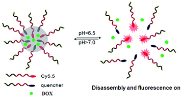 Graphical abstract: Ultra-pH-sensitive polypeptide micelles with large fluorescence off/on ratio in near infrared range
