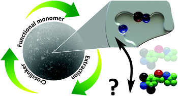 Graphical abstract: Long-term stability and reusability of molecularly imprinted polymers