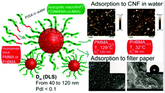 Graphical abstract: Soft and rigid core latex nanoparticles prepared by RAFT-mediated surfactant-free emulsion polymerization for cellulose modification – a comparative study
