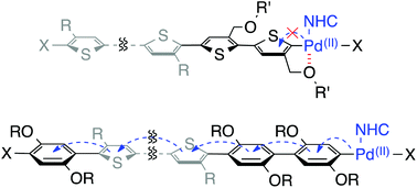 Graphical abstract: Catalyst-dependent intrinsic ring-walking behavior on π-face of conjugated polymers