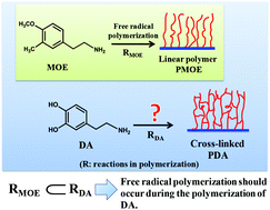 Graphical abstract: Revealing the formation mechanism of insoluble polydopamine by using a simplified model system