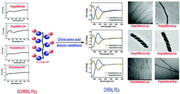 Graphical abstract: Chiral anion-triggered helical poly(ionic liquids)