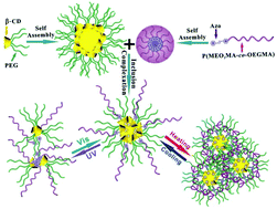 Graphical abstract: UV light- and thermo-responsive hierarchical assemblies based on the inclusion complexation of β-cyclodextrin and azobenzene