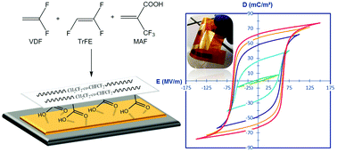 Graphical abstract: Ferroelectric fluorinated copolymers with improved adhesion properties