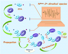 Graphical abstract: Mechanistic studies of the copolymerization between ethyl diazoacetate and cinnamaldehyde