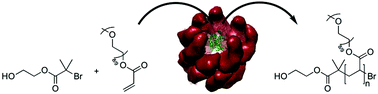 Graphical abstract: Biocatalytic atom transfer radical polymerization in a protein cage nanoreactor