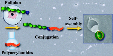 Graphical abstract: Vesicles of double hydrophilic pullulan and poly(acrylamide) block copolymers: a combination of synthetic- and bio-derived blocks
