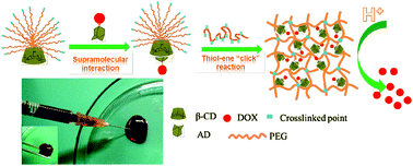 Graphical abstract: Injectable doxorubicin-loaded hydrogels based on dendron-like β-cyclodextrin–poly(ethylene glycol) conjugates