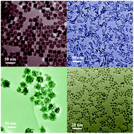 Graphical abstract: Facile synthesis of diverse transition metal oxide nanoparticles and electrochemical properties