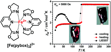 Graphical abstract: Spin transitions in a series of [Fe(pybox)2]2+ complexes modulated by ligand structures, counter anions, and solvents