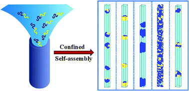 Graphical abstract: Self-assembly of AB diblock copolymer solutions confined in cylindrical nanopores
