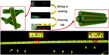 Graphical abstract: Supramolecular silk from a peptide hydrogel