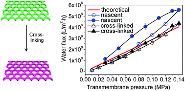 Graphical abstract: Cross-linked perforated honeycomb membranes with improved mechanical and chemical properties