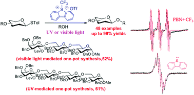 Graphical abstract: Light-driven highly efficient glycosylation reactions