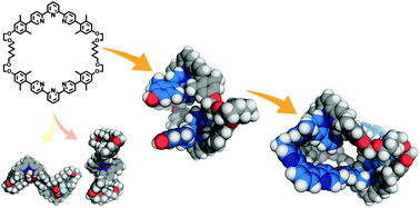 https://pubs.rsc.org/en/Image/Get?imageInfo.ImageType=GA&imageInfo.ImageIdentifier.ManuscriptID=C6QO00024J