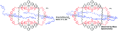 Graphical abstract: Towards the molecular Borromean link with three unequal rings: double-threaded ruthenium(ii) ring-in-ring complexes