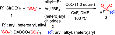 Graphical abstract: A general route to sulfones via insertion of sulfur dioxide promoted by cobalt oxide