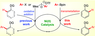 Graphical abstract: Nickel(ii)-catalyzed direct arylation of aryl C–H bonds with aryl-boron reagents directed by a removable bidentate auxiliary