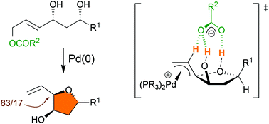 Graphical abstract: Diastereoselective synthesis of 2,5-disubstituted-3-hydroxy-tetrahydrofurans through a counterion-directed Tsuji–Trost reaction