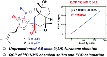 Graphical abstract: Furanmonogones A and B: two rearranged acylphloroglucinols with a 4,5-seco-3(2H)-furanone core from the flowers of Hypericum monogynum