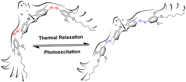 Graphical abstract: Hünlich base derivatives as photo-responsive Λ-shaped hinges