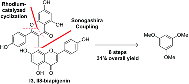 Graphical abstract: Total synthesis of I3,II8-biapigenin and ridiculuflavone A