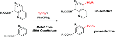 Graphical abstract: Site-selective oxidative C–H sulfonylation of 8-acylaminoquinolines and anilides under metal-free conditions