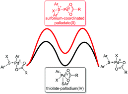 Graphical abstract: Thiolate–palladium(iv) or sulfonium–palladate(0)? A theoretical study on the mechanism of palladium-catalyzed C–S bond formation reactions