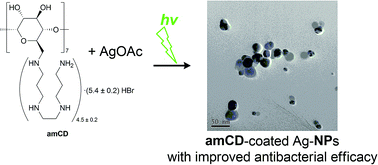 Graphical abstract: Photosynthesized silver–polyaminocyclodextrin nanocomposites as promising antibacterial agents with improved activity