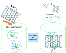 Graphical abstract: Silsesquioxane-cored star amphiphilic polymer as an efficient dispersant for multi-walled carbon nanotubes