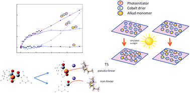 Graphical abstract: Hydrogen abstraction of carbon/phosphorus-containing radicals in photoassisted polymerization