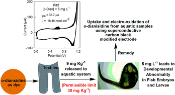 Graphical abstract: Fish embryo toxicity assessment of o-dianisidine in Clarias gariepinus and its electrochemical treatment in aquatic samples using super conductive carbon black