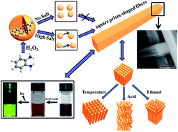 Graphical abstract: Formation of square prism-shaped poly(o-phenylenediamine) fibers triggered by high ionic strength