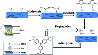 Graphical abstract: Laccase immobilized on PAN/O-MMT composite nanofibers support for substrate bioremediation: a de novo adsorption and biocatalytic synergy
