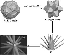 Graphical abstract: Fabrication and characterization of hierarchical multipod silver citrate complex microcrystals with excellent SERS properties