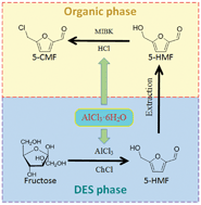 Graphical abstract: Green catalytic conversion of bio-based sugars to 5-chloromethyl furfural in deep eutectic solvent, catalyzed by metal chlorides