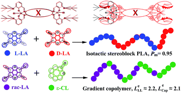 Graphical abstract: Bimetallic Schiff base complexes for stereoselective polymerisation of racemic-lactide and copolymerisation of racemic-lactide with ε-caprolactone