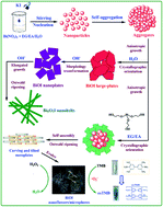 Graphical abstract: BiOI hierarchical nanoflowers as novel robust peroxidase mimetics for colorimetric detection of H2O2