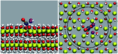 Graphical abstract: Mechanism of adsorption affinity and capacity of Mg(OH)2 to uranyl revealed by molecular dynamics simulation